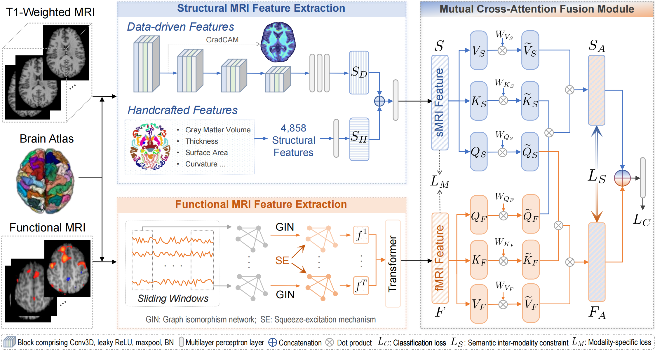 Attention-Enhanced Fusion of Structural and Functional MRI for Analyzing HIV-Associated Asymptomatic Neurocognitive Impairment