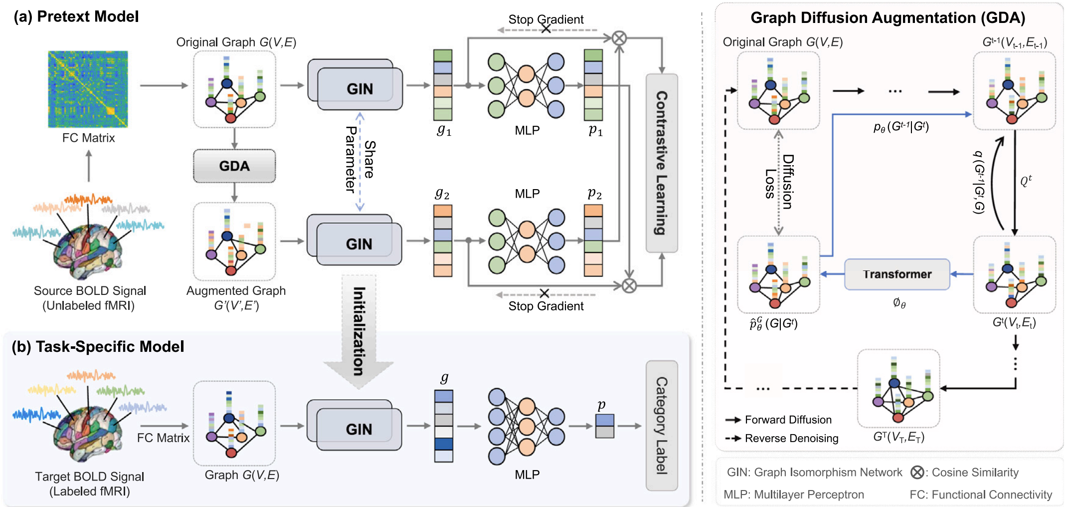 Self-supervised graph contrastive learning with diffusion augmentation for functional MRI analysis and brain disorder detection