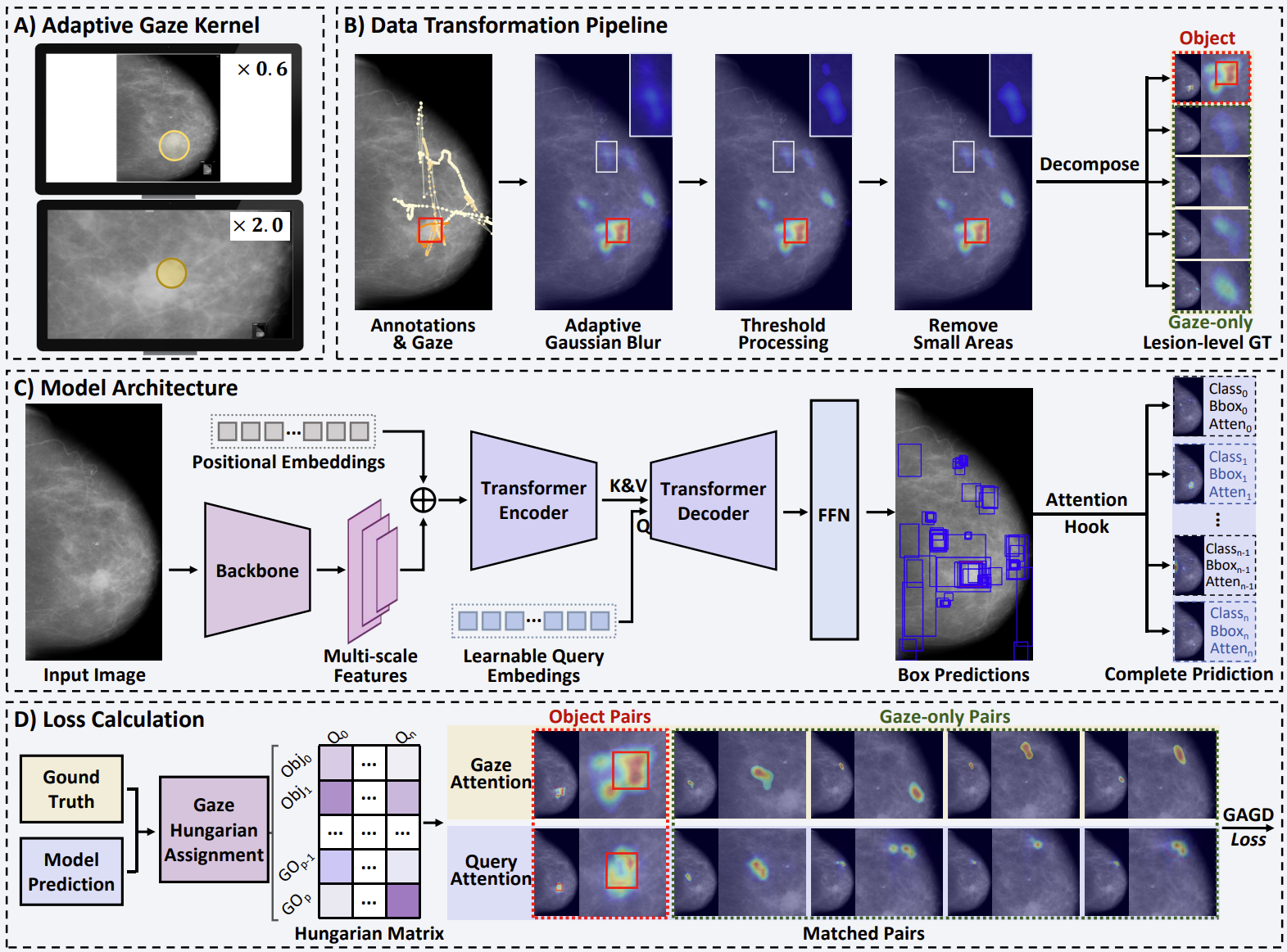 Query-Level Alignment for End-to-End Lesion Detection with Human Gaze
